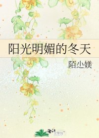 《阳光明媚的冬天》