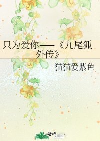 《九尾狐外传》