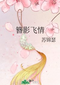 《簪影飞情》