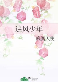 《追风少年》