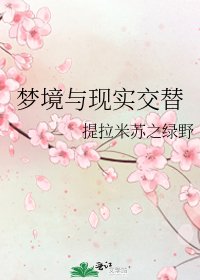 《梦境与现实交替》
