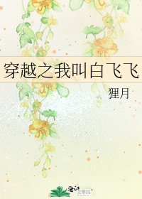 《穿越之我叫白飞飞》