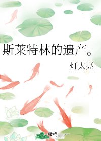 《斯莱特林的遗产》