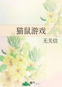 猫鼠游戏