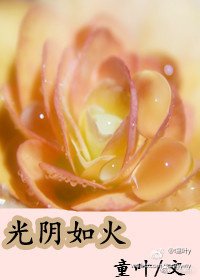 光阴如火（现代女尊）