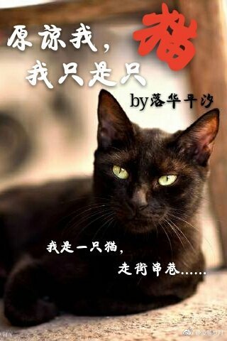 《原谅我,我只是只猫》