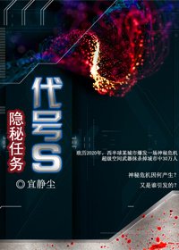 隐秘任务代号S
