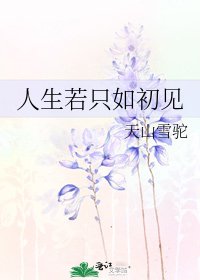 人生若只如初见