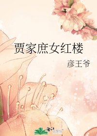 《贾家庶女红楼》