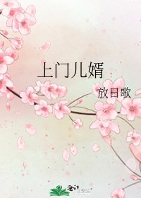 上门儿婿