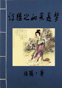 《红楼之如果是梦》
