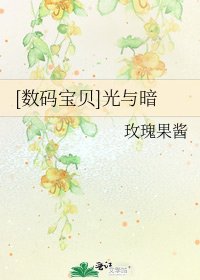 [数码宝贝]光与暗