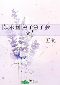 [娱乐圈]兔子急了会咬人