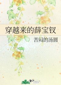 《穿越来的薛宝钗》