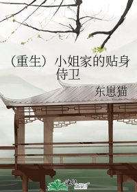 （重生）小姐家的贴身侍卫