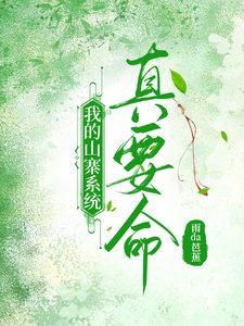 《我的山寨系统真要命!》