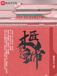 《我真不是木匠皇帝》