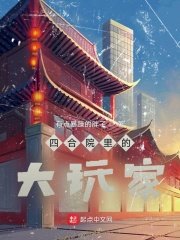 《四合院里的大玩家》