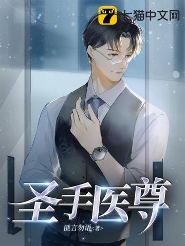 《圣手医尊》