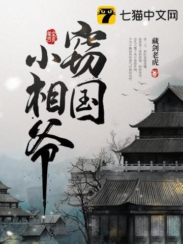 《窃国小相爷》