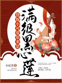 《替嫁小可爱原来是满级黑心莲》