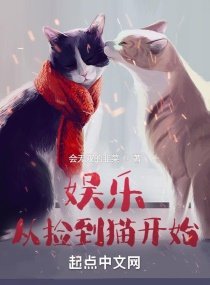 《娱乐从捡到猫开始》