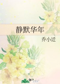 《静默华年》