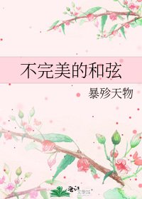 《不完美的和弦》