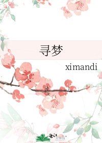 《寻梦》