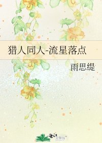 猎人同人-流星落点