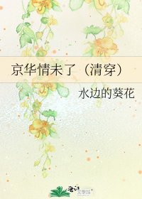 《京华情未了(清穿)》