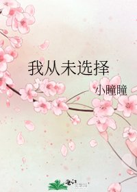 《我从未选择》