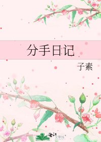 《分手日记》