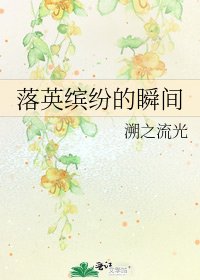 《落英缤纷的瞬间》