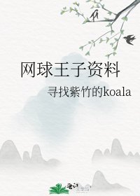 网球王子资料