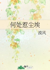 《何处惹尘埃》