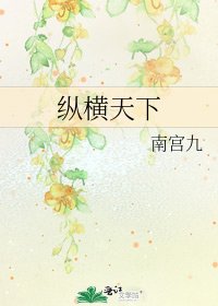 《纵横天下》