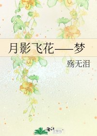 《月影飞花——梦》