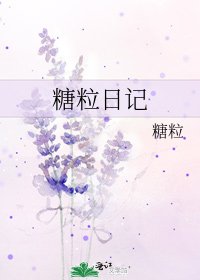 糖粒日记