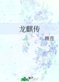 《龙麒传》