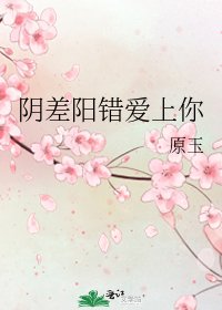 《阴差阳错爱上你》
