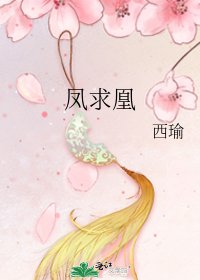 《凤求凰》