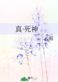 《真·死神》