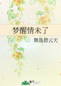 梦醒情未了