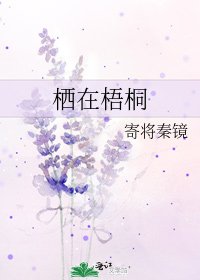 《栖在梧桐》