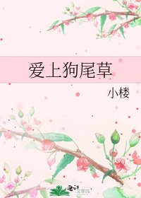 《爱上狗尾草》