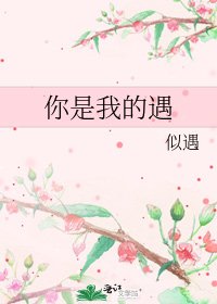 《你是我的遇》