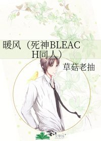 暖风（死神BLEACH同人）