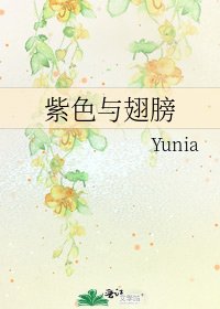 《紫色与翅膀》