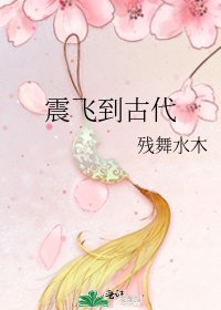 《震飞到古代》